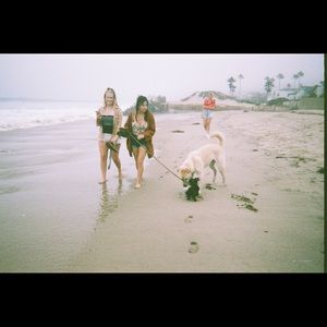 Meet your Posher, Allie